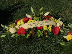 2012 11 01 NOVEMBRE MAZARGUES  (19) PAR GUY MONTANER
